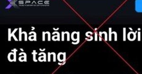 Sập bẫy sàn giao dịch tiền ảo, người phụ nữ ở Hà Nội mất gần 8 tỷ đồng