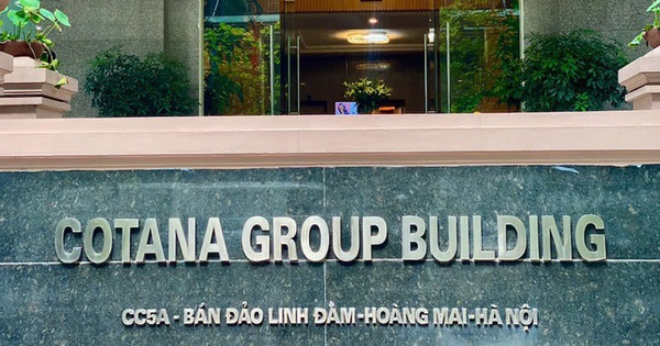 Tập đoàn Cotana sắp trả cổ tức bằng cổ phiếu, Chủ tịch Đào Ngọc Thanh nhận về bao nhiêu?