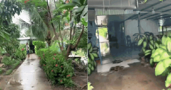 Căn nhà ở Cà Mau có con đường đâm xuyên, ngày đêm phải mở cửa cho xe máy chạy qua