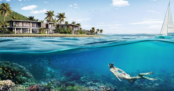 Cùng Villa Le Corail, A Gran Meliá Hotel bảo tồn hệ sinh thái ngay dưới thềm dinh thự