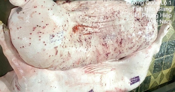 Từ vụ C.P. bị tố bán heo bệnh: Chỉ đạo mới từ Bộ Nông nghiệp và Môi trường