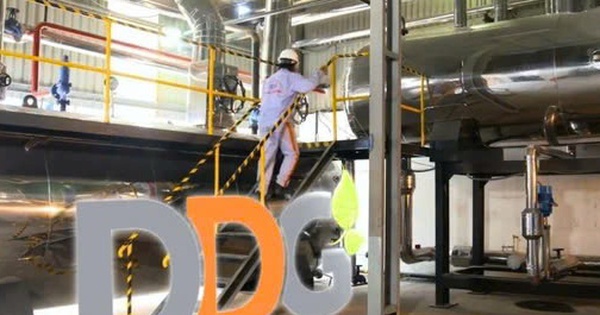Xuất nhập khẩu Đông Dương ‘khất nợ’ hơn 380 tỷ đồng gốc, lãi trái phiếu
