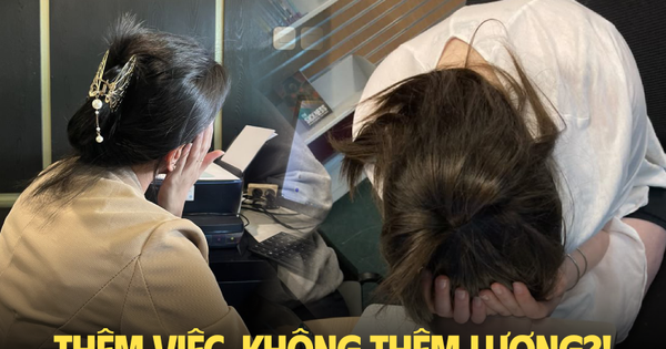 Mắc kẹt với mức lương 15 triệu, việc ngày càng nhiều nhưng lương thì đứng yên: Tôi có đang đòi hỏi quá nhiều?