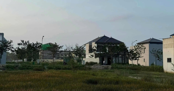 Mua đất quê 1.200m2 từ thời giá chỉ 500.000 đồng, người phụ nữ vui mừng: Vừa rao bán 6,5 tỷ đồng đã có người mua ngay