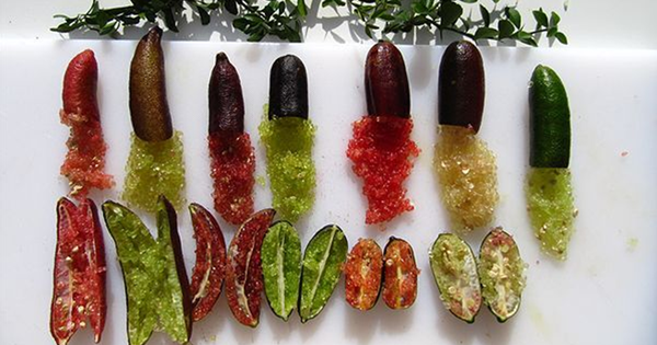 Loại quả bé như ngón tay "đắt nhất thế giới", giá lên tới 3 triệu đồng/kg