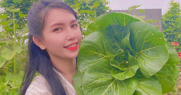 Nghỉ việc văn phòng, người phụ nữ tự gây dựng vườn cây 100m2: Sau 5 năm, không hối hận