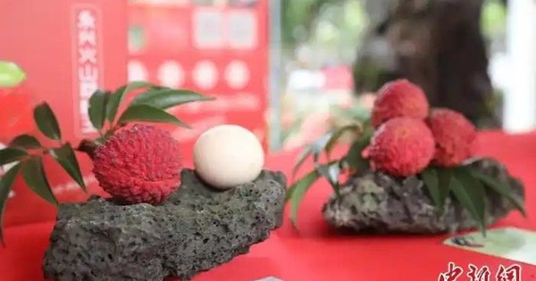 Quả vải to bằng quả trứng gà được bán với giá gần 250 triệu đồng: Nông dân vui mừng, cả vùng trồng được hưởng lợi nhờ lợi thế độc đáo