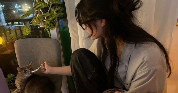 4 KHÔNG tôi CÓ sau 5 năm đi làm: Không nợ nhưng cũng không tiết kiệm, không tài sản, không mục tiêu