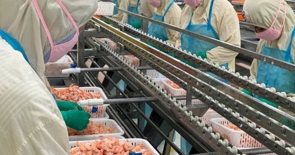 Doanh nghiệp xuất khẩu tôm lớn nhất nhì Việt Nam bị áp thuế cao bất thường tới 35,29% từ Mỹ
