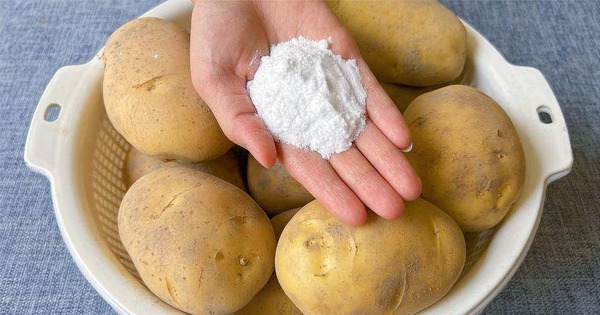 Rắc một nắm bột trắng lên khoai tây, để cả tháng cũng không thối hay mọc mầm!