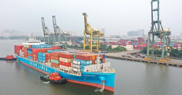 DN có đội tàu Container lớn nhất Việt Nam muốn chia cổ tức tổng tỷ lệ 40%, cổ phiếu tăng hơn 50% từ đầu năm