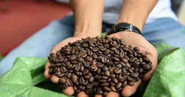 Nửa năm, xuất khẩu nông sản vượt 33 tỷ USD