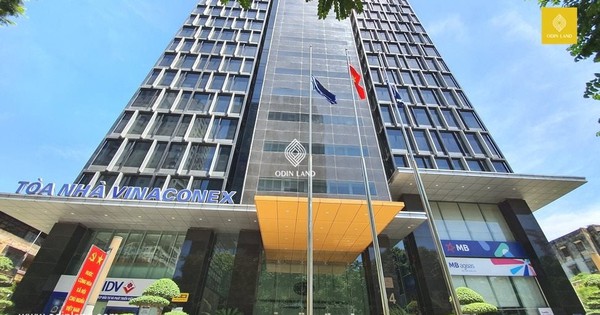 Vinaconex dự kiến thu về 5.100 tỷ đồng nhờ bán 51% vốn khỏi công ty con sở hữu dự án Cát Bà Amatina