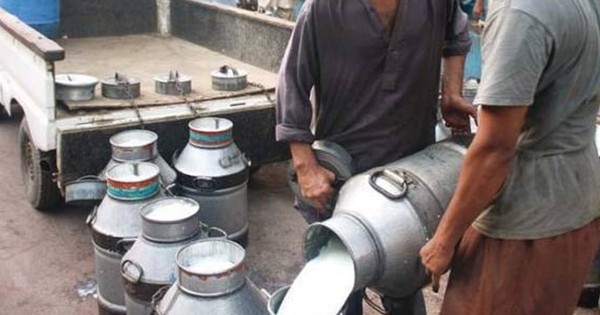 Đột kích một nhà máy, công an triệt phá đường dây sản xuất sữa giả từ hóa chất, tịch thu hàng nghìn lít sản phẩm nhái
