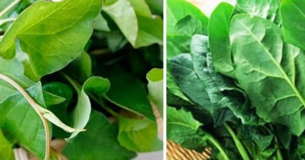 5 loại rau quả thải độc gan tự nhiên