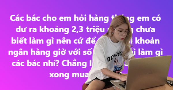 Chẳng biết làm gì với 2-3 triệu dư ra hàng tháng: Dân mạng hiến kế giúp tiền đẻ ra tiền!