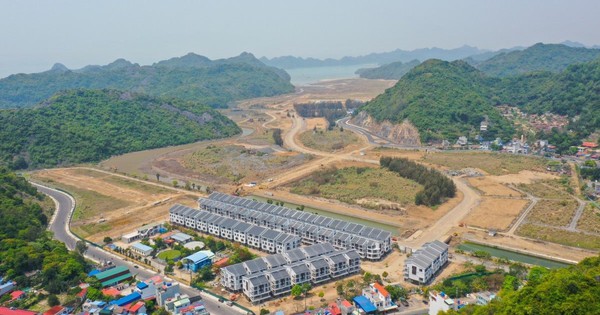 Vinaconex muốn thoái sạch vốn, doanh nghiệp làm dự án Cát Bà Amatina kéo dài hơn 2 thập kỷ đang thế chấp ngân hàng những gì?