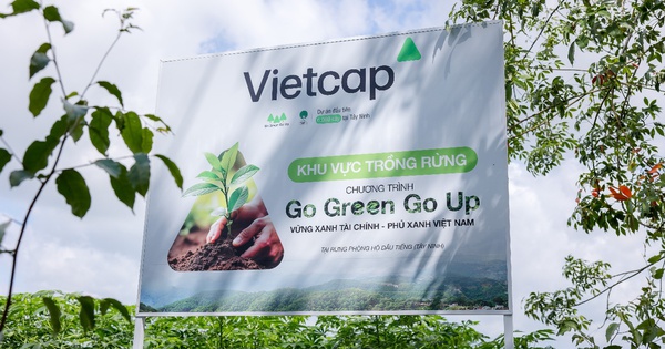 Vietcap trao tặng 6.000 cây tại rừng phòng hộ dầu tiếng