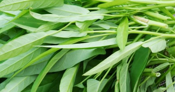 Rau muống dễ nhiễm chì, liệu có cách nào nhận biết?