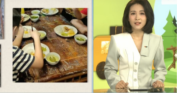 Vụ trại hè từ háo hức thành hối hận: VTV làm rõ vấn đề pháp lý, nhiều phụ huynh ngỡ ngàng