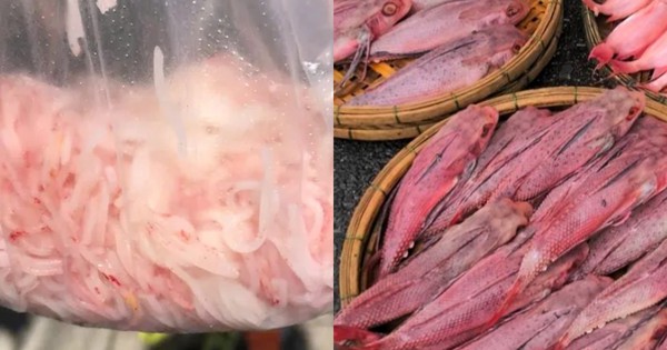 Liên tiếp các vụ người dân phát hiện “cá uống Sting”, “bún tươi chuyển đỏ”: Diễn biến mới nhất thế nào?
