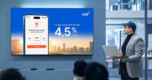 Từ cá nhân đến doanh nghiệp: Tài khoản Siêu Lợi Suất VIB tái định nghĩa giá trị về tiền nhàn rỗi