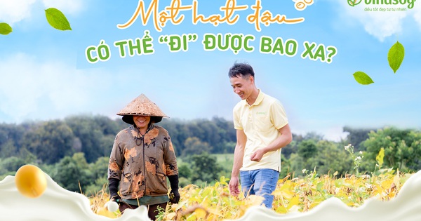 Một hạt đậu có thể "đi" được bao xa?