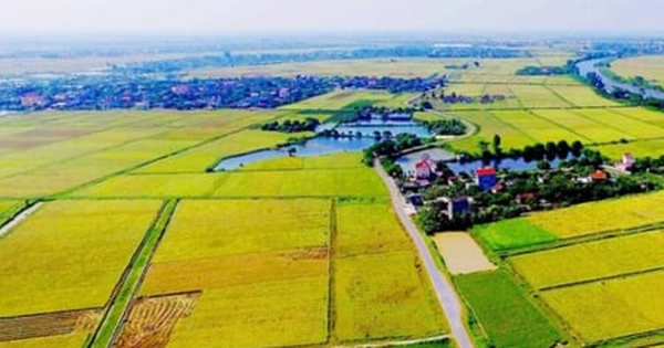Chuyển đất nông nghiệp sang đất ở: Hoảng hốt tiền sử dụng đất cao đột biến