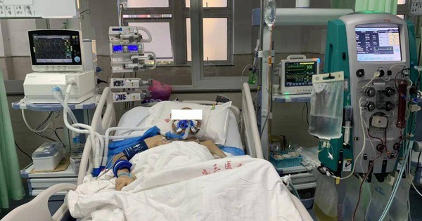 Gia đình 3 người nguy kịch sau khi ăn loại rau này: Bác sĩ nói 1 sai lầm khiến rau nhiễm độc tố cực mạnh