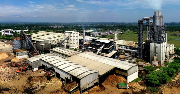 Lỗi đánh máy, một công ty gỗ đặt mục tiêu doanh thu cả triệu tỷ đồng, gấp 5 lần Hòa Phát, 3 lần Vingroup
