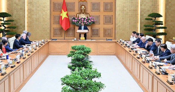 m.cafef.vn
