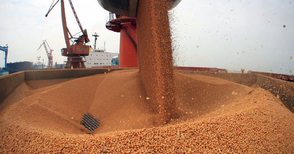 Thuế nhập khẩu 0%, 3 ông trùm nông sản đua nhau đưa ‘báu vật’ sang Việt Nam: Nước ta chi nửa tỷ USD mua hàng, tiêu thụ đứng thứ 3 thế giới