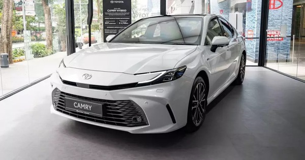 Xe hybrid tăng tốc tại Việt Nam: Trỗi dậy hay chỉ là 'trạm dừng' giữa xe xăng và xe điện?