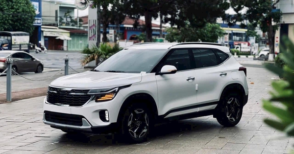Kia Seltos giảm giá tới 55 triệu đồng tại Việt Nam: Bản 'base' thực tế còn 569 triệu, đua lập sàn giá phân khúc với Xforce, Creta