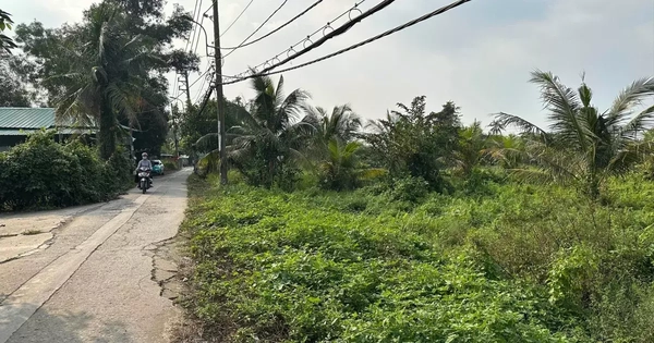 Đề xuất tăng giá đất nông nghiệp lên 65%-70%: Nhiều băn khoăn