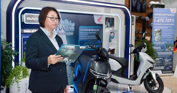 Nước cờ mới của "vua xe xăng" Việt Nam: Chỉ cho...