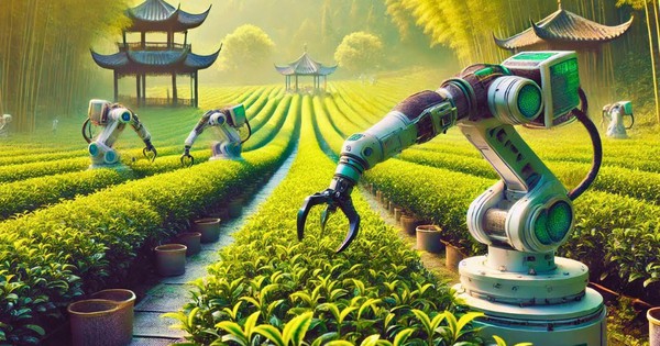 AI 'về làng' - chưa bao giờ việc bón phân, tưới nước ở thị trấn nhỏ này đơn giản như thế: Thời gian rút ngắn còn 1/10, tăng giá trị lại không thay thế con người