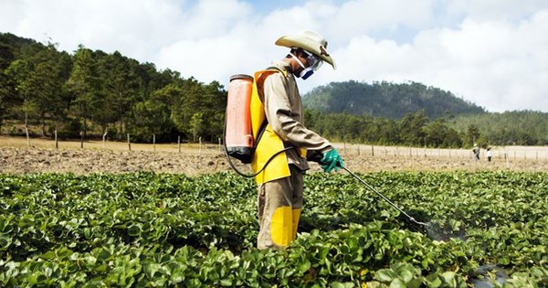 Hỗ trợ nông dân canh tác, sử dụng thuốc bảo vệ thực vật bền vững