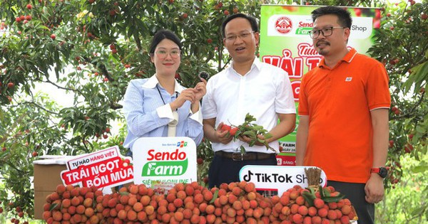 Lần đầu tiên Phó Chủ tịch Bắc Ninh livestream chốt đơn hàng chục tấn vải chỉ trong một buổi sáng