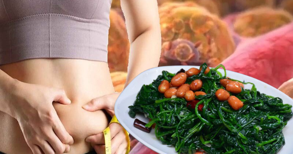 Người Việt có 1 loại rau giảm mỡ nội tạng đứng hàng tiên phong, thế giới nức nở khen vì siêu giàu dinh dưỡng, rất lợi cho phụ nữ