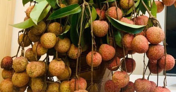 7 nhóm người nên hạn chế ăn vải