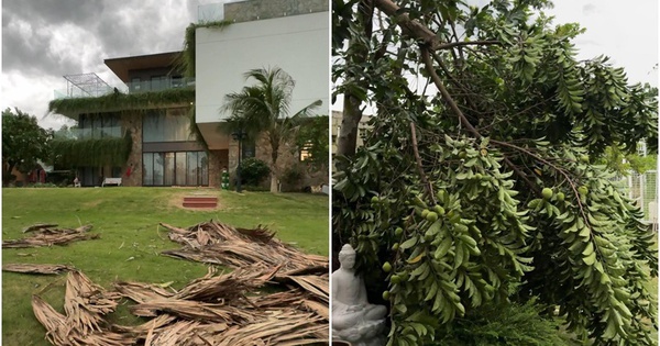 30 phút trở tay không kịp, chủ "chết lặng" khi nhìn cảnh trong biệt thự 2000m2 trước bão Wipha