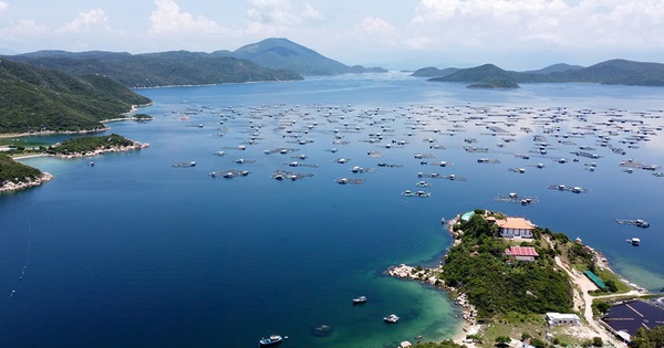 Hợp nhất Khu kinh tế Vân Phong và 4 Khu công nghiệp Ninh Thuận