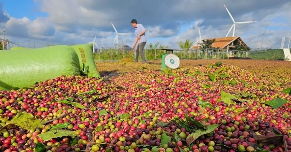 Sửa đổi Nghị định 103/2024/NĐ-CP: Cần xem xét đến cả doanh nghiệp tư nhân