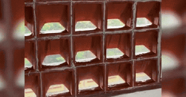 Gia chủ khóc dở mếu dở vì tường nhà dùng gạch nung bánh ú: Nhìn thì đẹp nhưng dùng mới thấy bất tiện