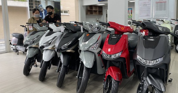 Cửa hàng xe điện ở TP.HCM tấp nập khách giữa thông tin chuyển đổi xe xăng