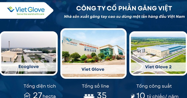 Găng Việt: Tiên phong dẫn lối phát triển ngành công nghiệp găng tay Việt