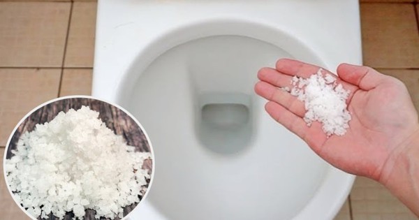 Rắc vài hạt muối vào bồn cầu, cả gia đình nhận lại lợi ích không ngờ