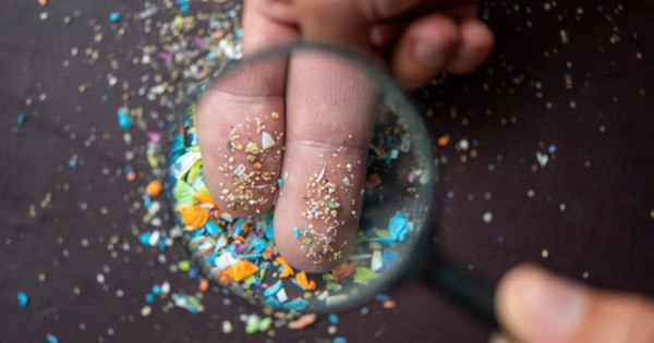 Vật bất ly thân hàng ngày của nhiều người Việt: 'Bữa tiệc vi nhựa' âm thầm vào phổi, ‘đầu độc’ môi trường