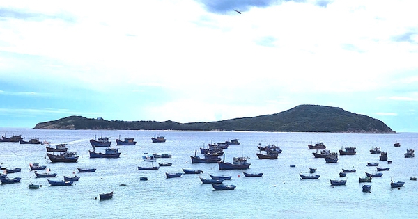 Việt Nam lọt tốp 7 thị trường hàng đầu thế giới ở 1 lĩnh vực bền vững: "Mỏ vàng" âm thầm kiếm tỷ USD